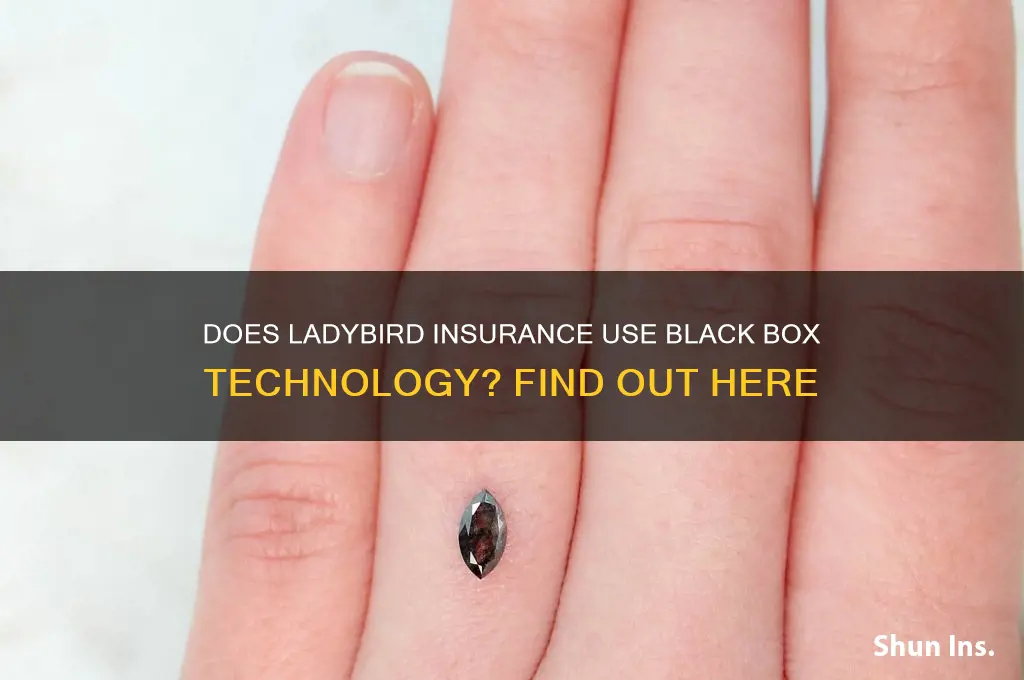 does ladybird insurance have a black box