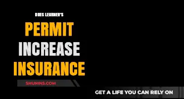 Does a Learner's Permit Affect Car Insurance Rates? Find Out