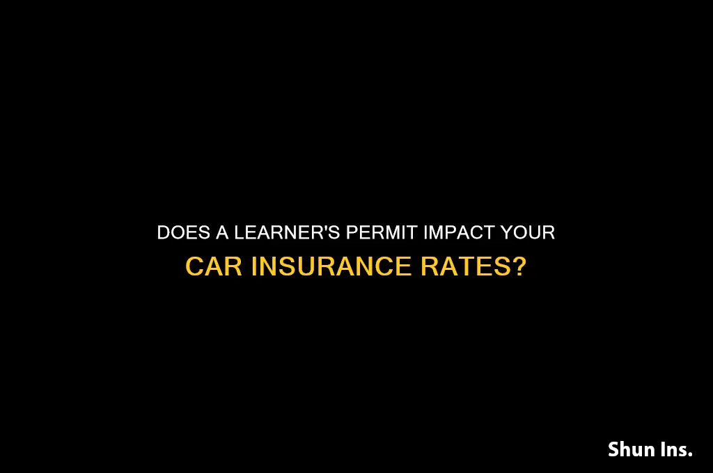 does learners permit raise insurance