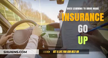 Learning to Drive: Insurance Premiums Increase?