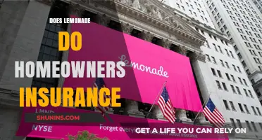 Lemonade: A Refreshing Take on Homeowners Insurance