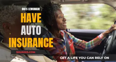 Lemonade: Auto Insurance Available?