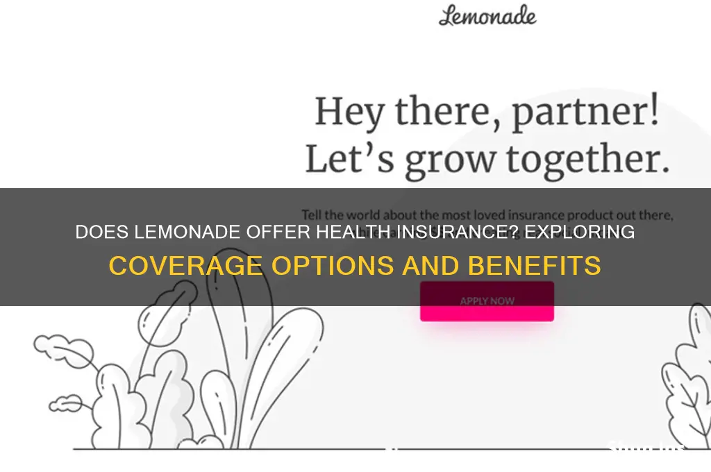 does lemonade have health insurance