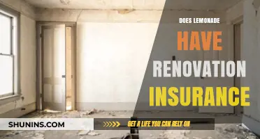 Does Lemonade Offer Renovation Insurance? A Comprehensive Coverage Guide