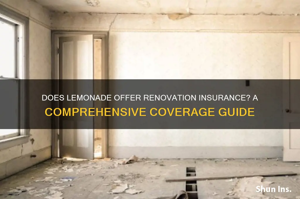 does lemonade have renovation insurance