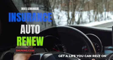 Lemonade Insurance: Understanding the Auto-Renewal Process