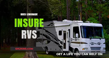 Does Lemonade Insure RVs? Coverage Options and Policy Details Explained