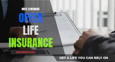 Lemonade Life Insurance: What You Need to Know