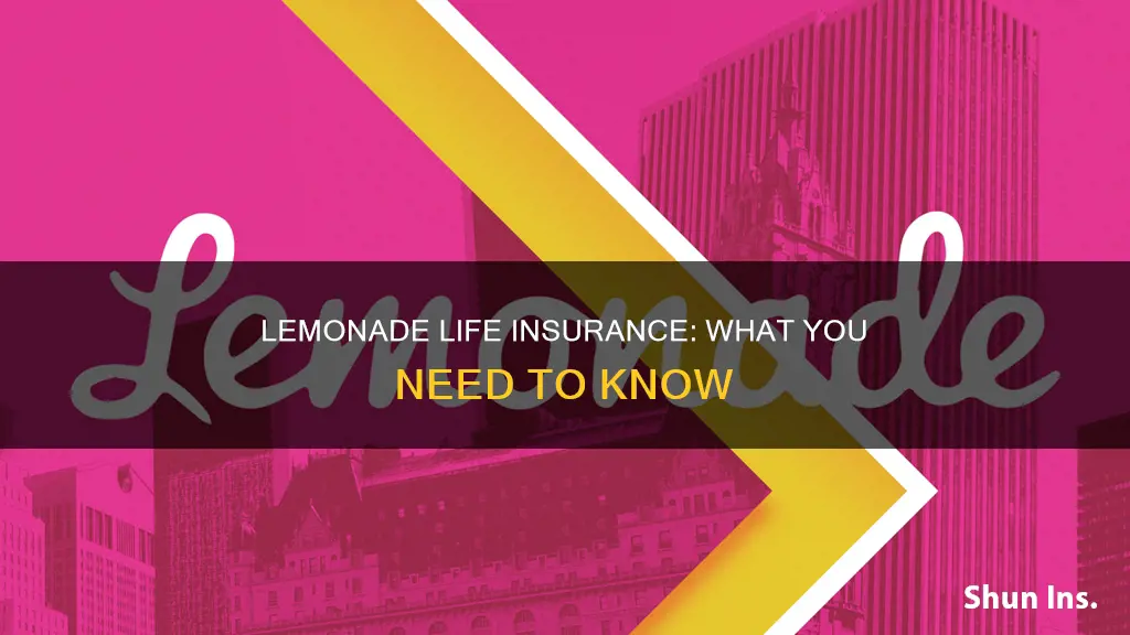 does lemonade offer life insurance