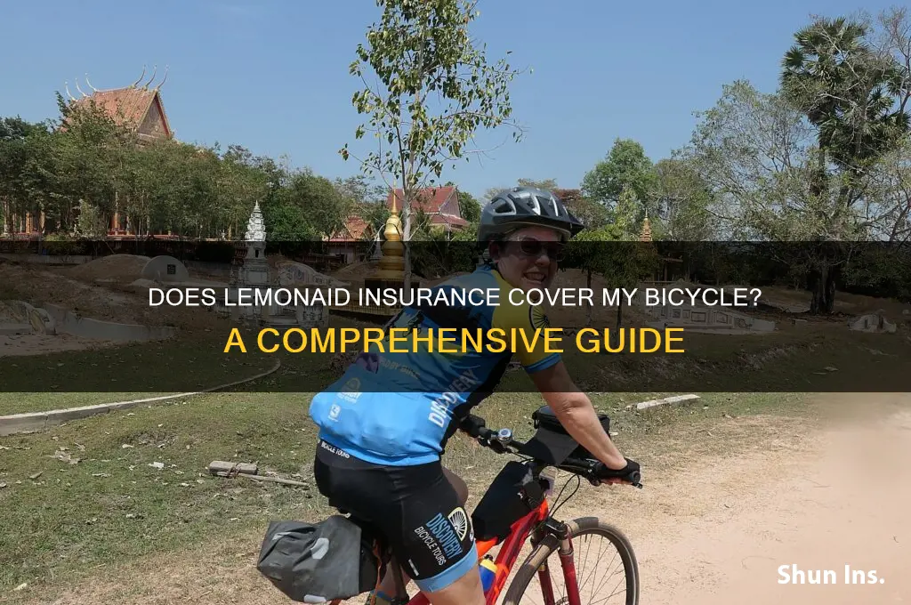 does lemonaid insurance protect my bycycle
