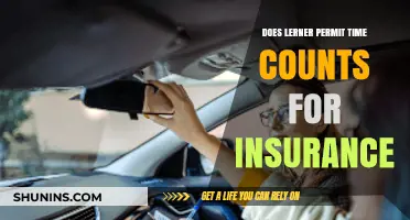 Does Lerner Permit Time Count for Insurance Coverage?