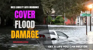 Liability Auto Insurance and Flood Damage: What You Need to Know