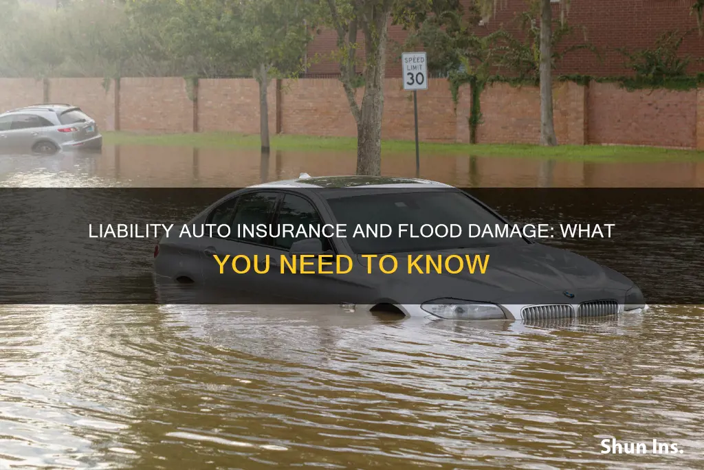 does liability auto insurance cover flood damage