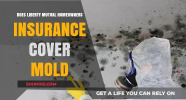 Mold Damage: Liberty Mutual Home Insurance Coverage Explained