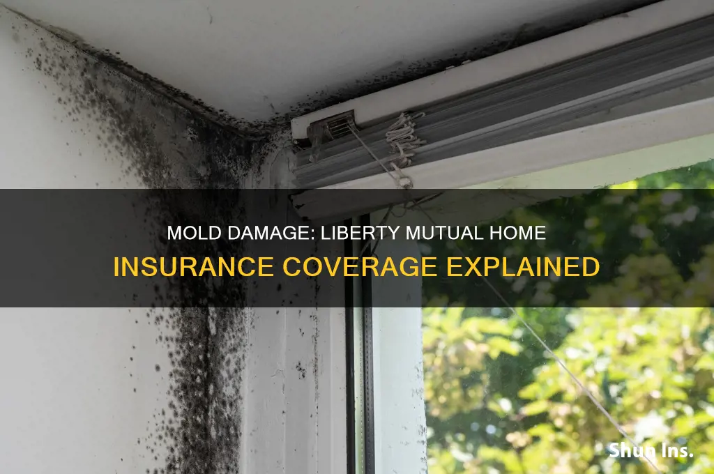does liberty mutual homeowners insurance cover mold