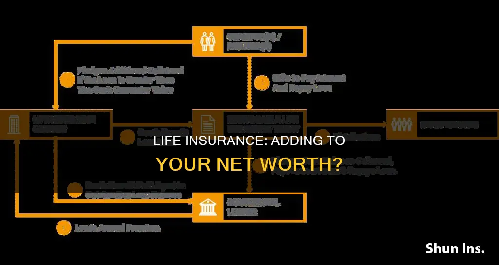 does life insurance add to your net worth