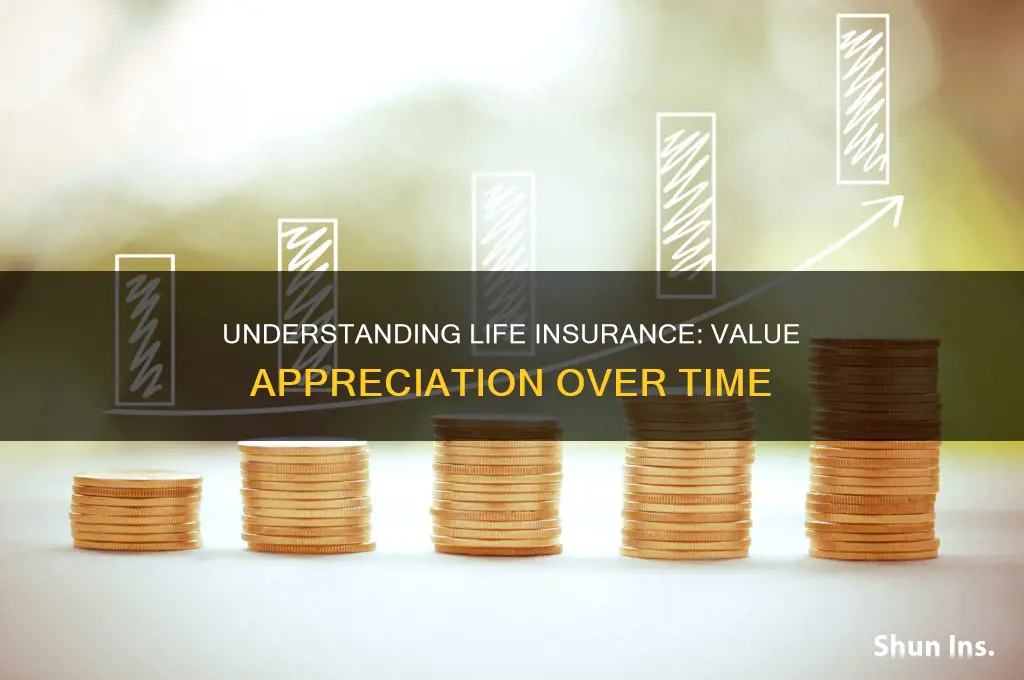 does life insurance amount increase in value