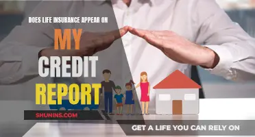 Life Insurance and Credit Reports: What's the Connection?