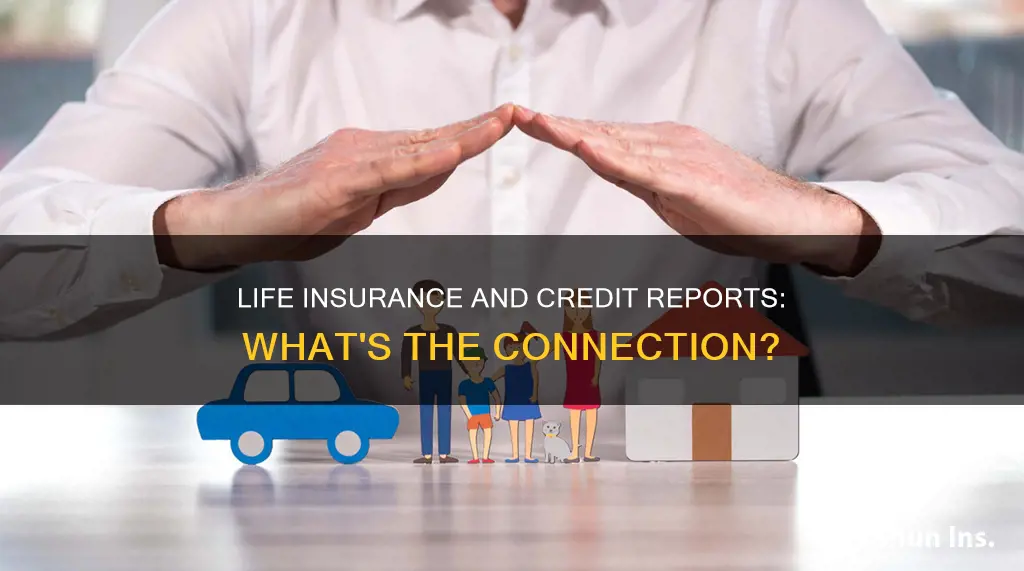 does life insurance appear on my credit report