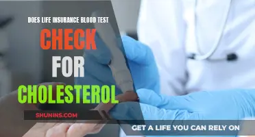 Cholesterol and Life Insurance Blood Tests: What's the Link?