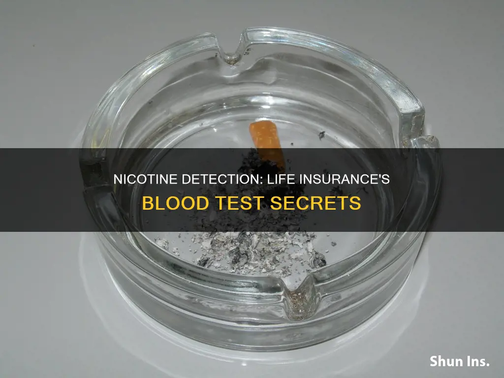 does life insurance blood test for nicotine