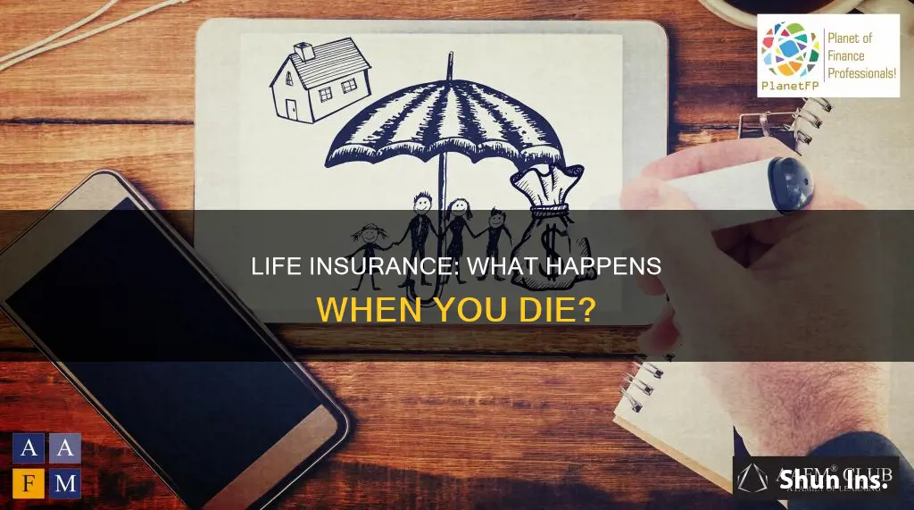 does life insurance carry over