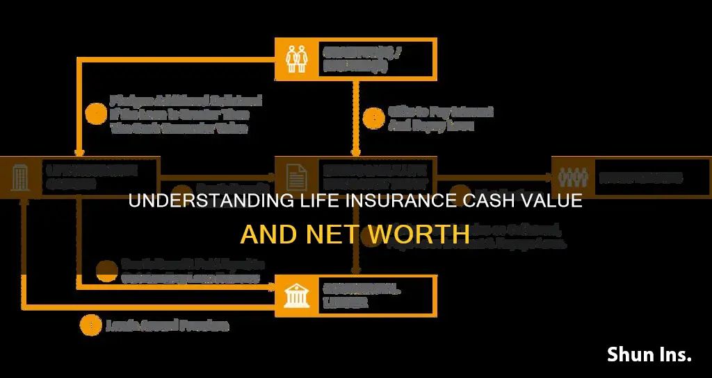 does life insurance cash value counts towards net worh