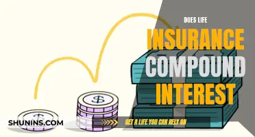 Life Insurance and Compound Interest: How Are They Linked?