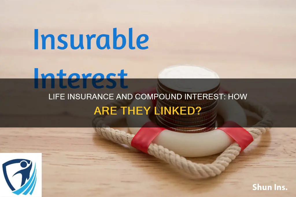 does life insurance compound interest