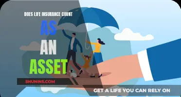 Life Insurance: An Asset or a Liability?