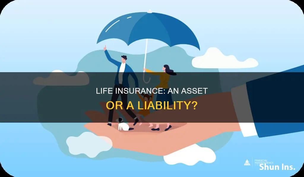 does life insurance count as an asset