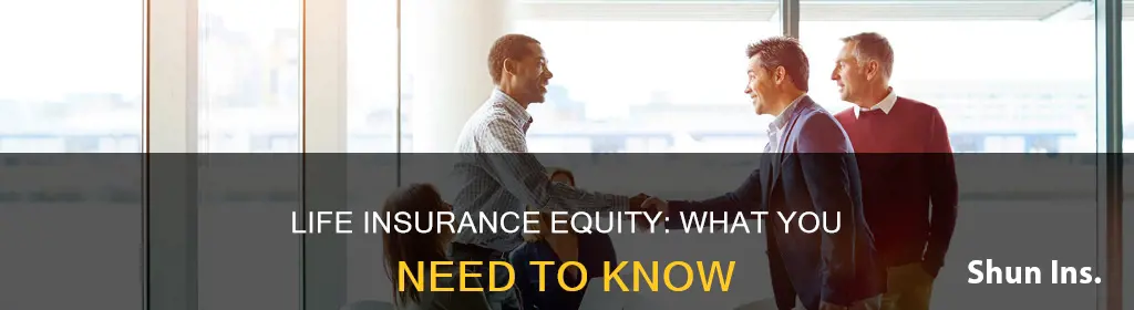 does life insurance count as equity