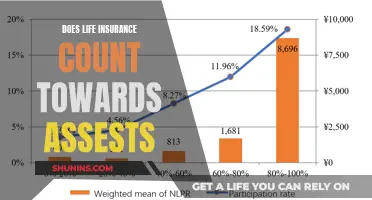 Life Insurance: Asset or Liability?