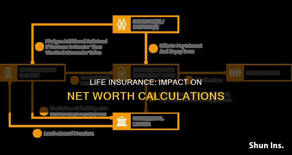 does life insurance count towards net worth