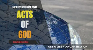 Life Insurance: Acts of God and Your Coverage