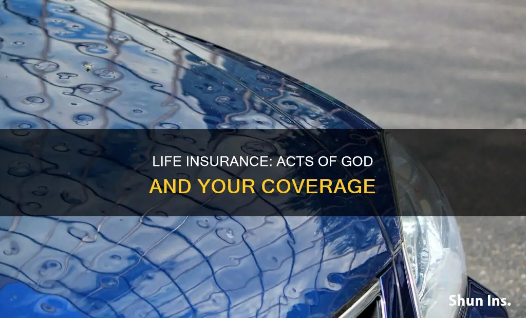 does life insurance cover acts of god