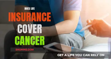 Life Insurance and Cancer: What Coverage is Offered?