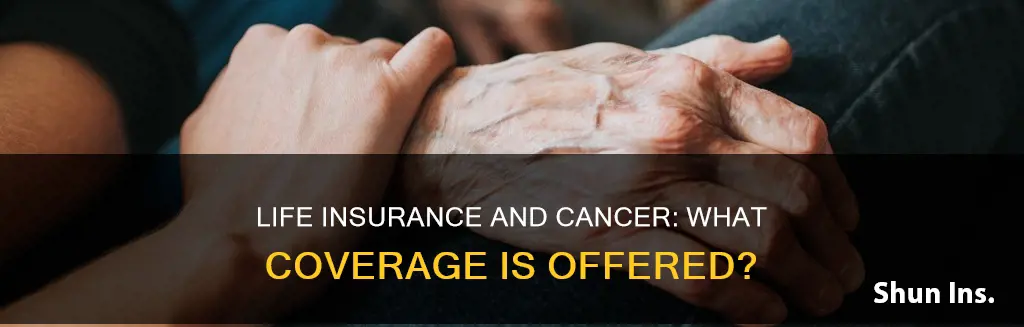 does life insurance cover cancer