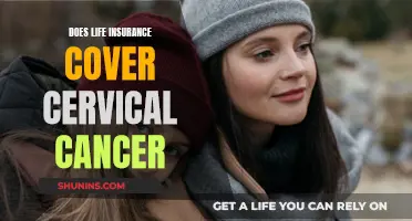 Life Insurance and Cervical Cancer: What's Covered?