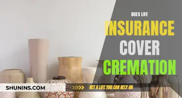 Life Insurance: Cremation Coverage and Your Options