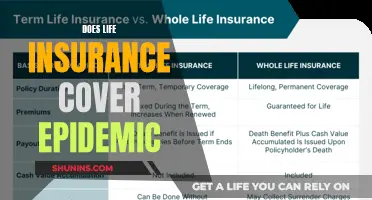 Life Insurance: Epidemic Coverage and Your Policy