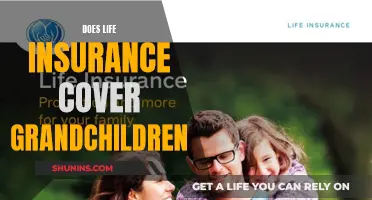 Life Insurance Coverage for Grandchildren: What You Need to Know