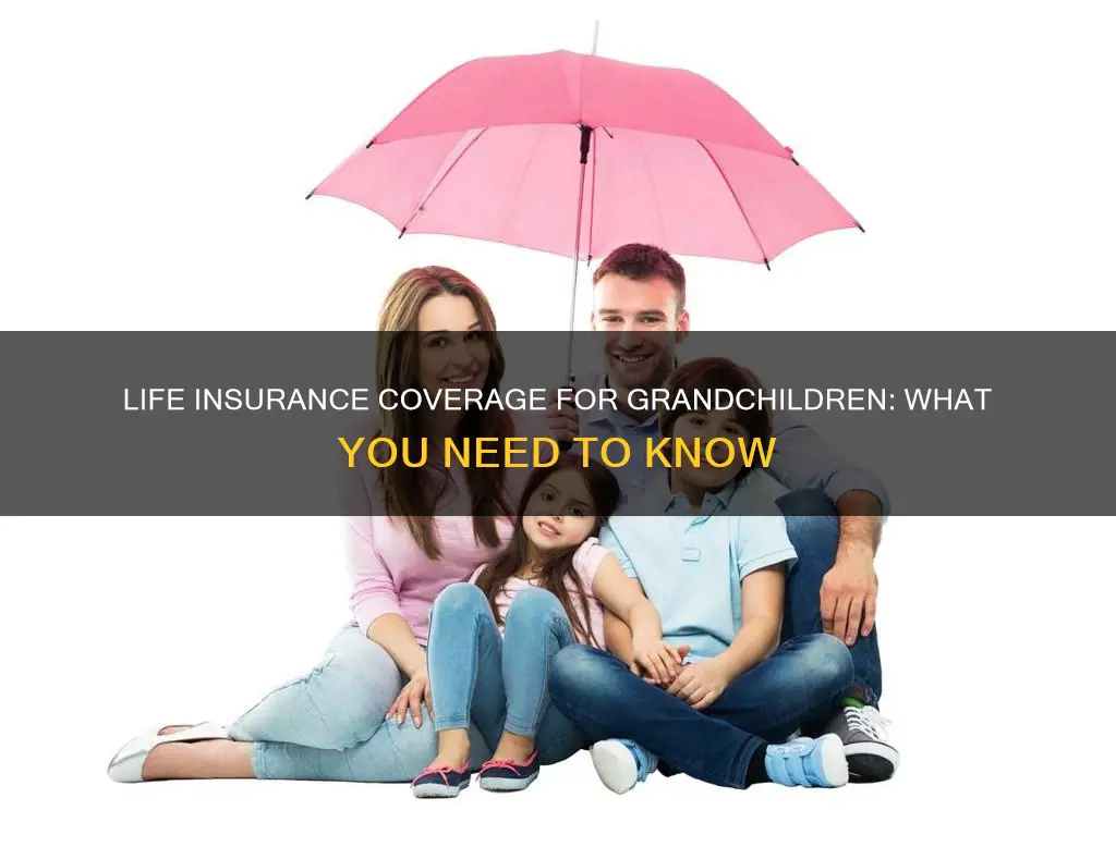 does life insurance cover grandchildren