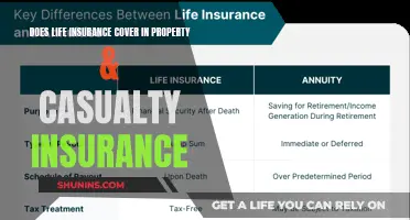 Life Insurance: Property & Casualty Coverage Explained