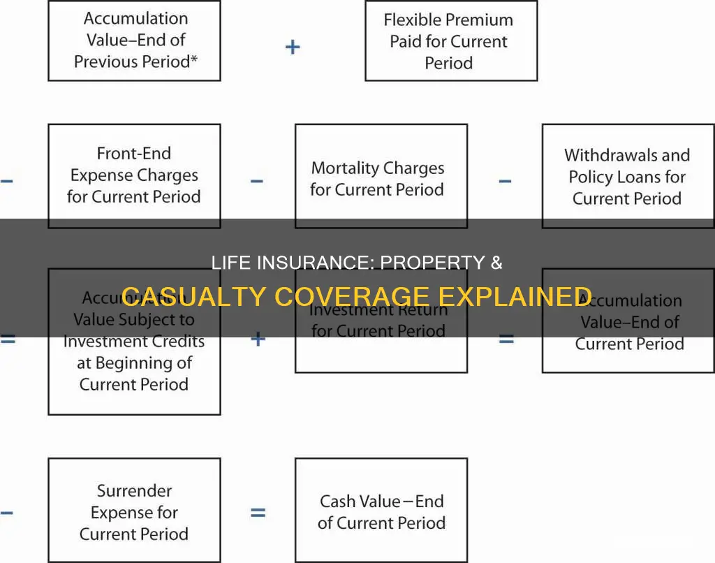 does life insurance cover in property & casualty insurance