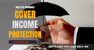 Life Insurance: Income Protection and Its Coverage