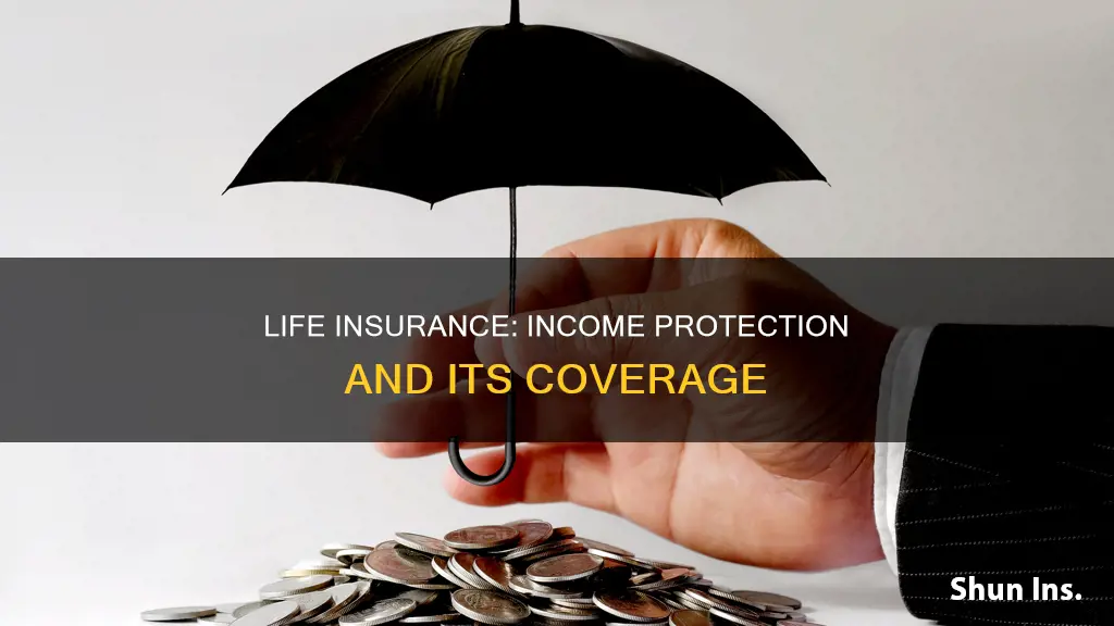 does life insurance cover income protection