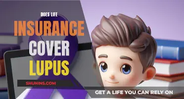 Lupus and Life Insurance: What Coverage Is Available?