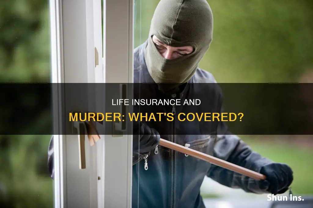 does life insurance cover murder