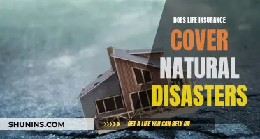 Life Insurance: Natural Disaster Coverage Explained